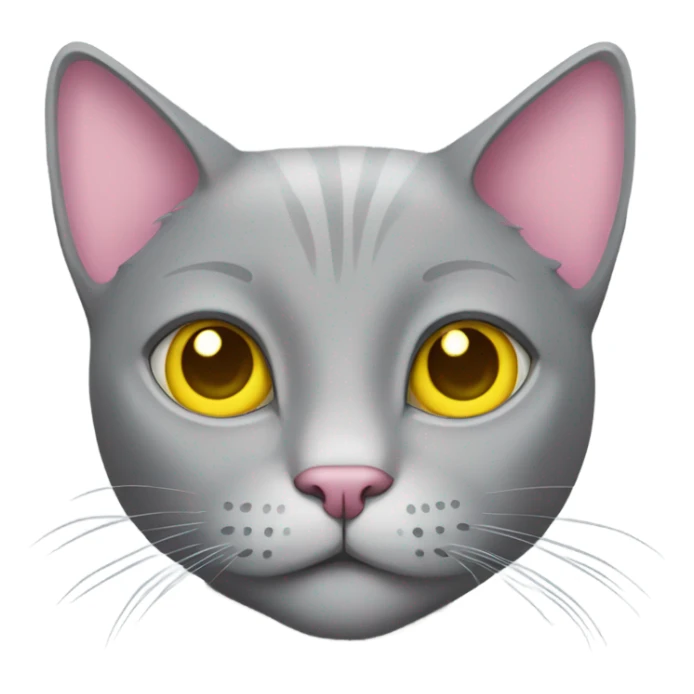 Grey cat with yellow eyes and a pink shirt sticker