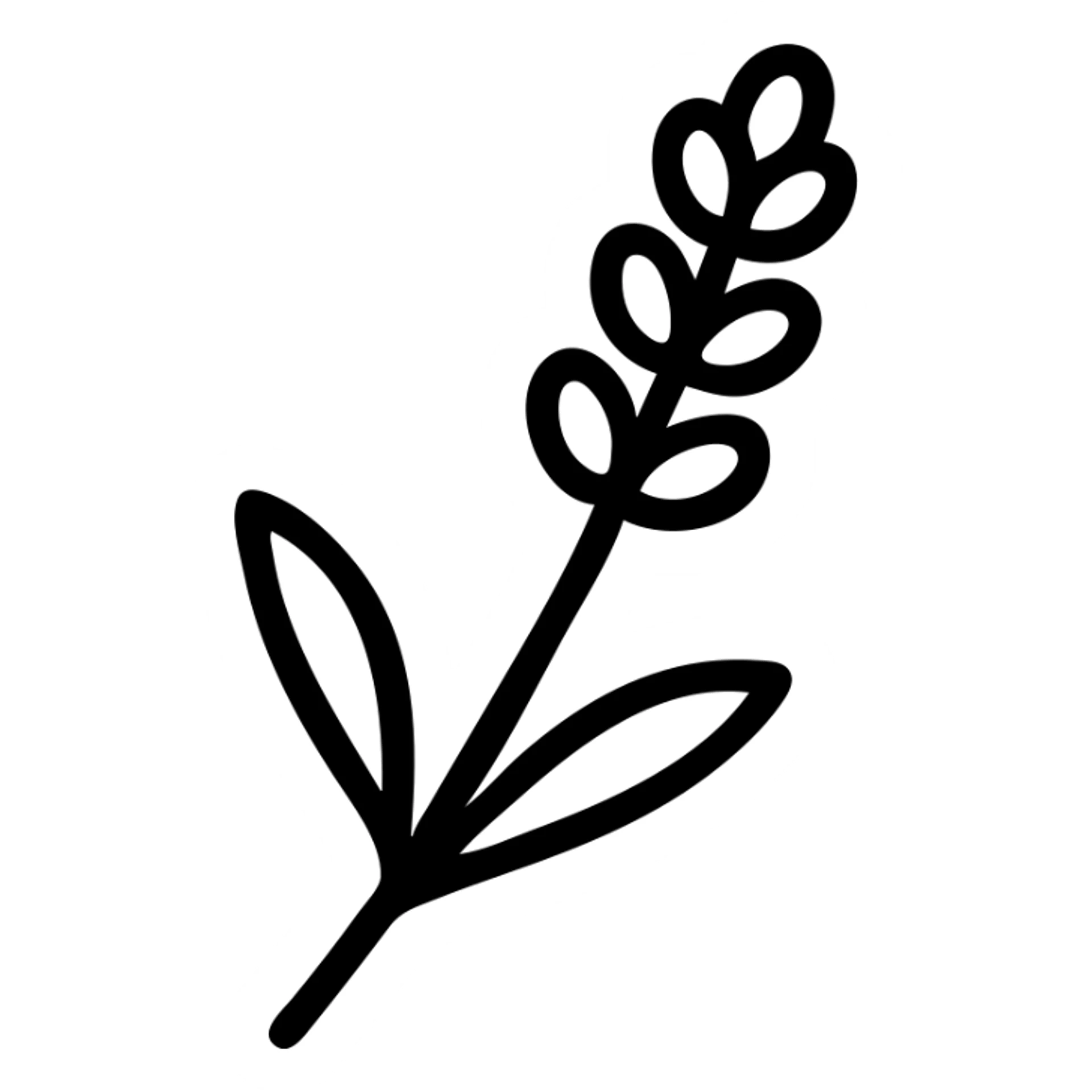 lavender sprig icon, clean and modern look, minimalistic sticker