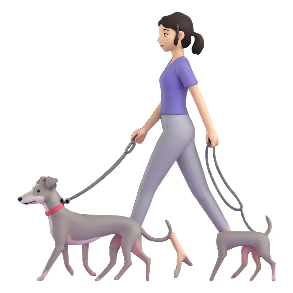 Beautiful Asian girl walking a solid grey Italian greyhound with absolutely no white markings, completely grey dog sticker