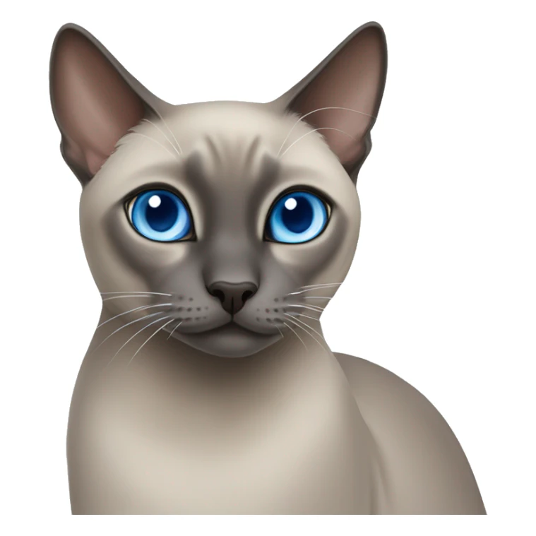 Blue mink tonkinese cat with blue eyes sticker