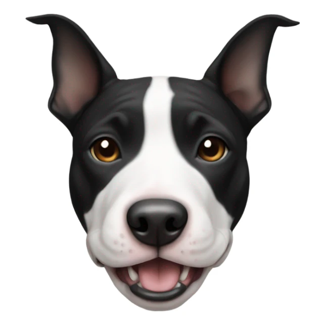 Black and white american bull terrier  sticker
