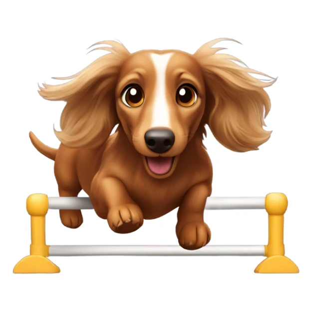 Longhaired dachs with light Brown eyes and Brown nose jumping agility sticker