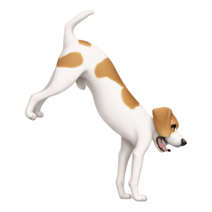 Dog standing on his hands sticker