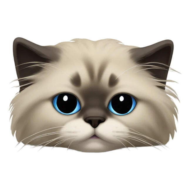 himalayan ragdoll cat asleep full dark face and feet sticker