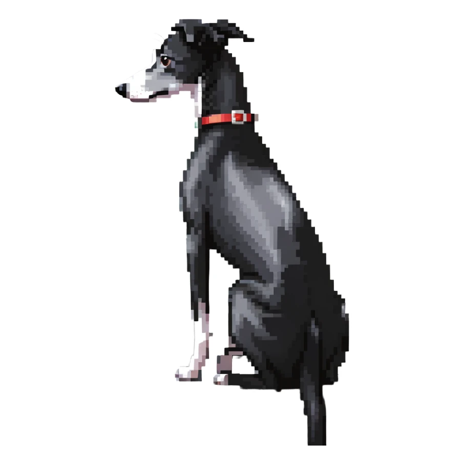 Slim Chinese girl with long black hair and her completely solid grey Italian greyhound looking out a window together on a snowy day, the dog has absolutely no white markings anywhere, completely uniform grey color throughout sticker