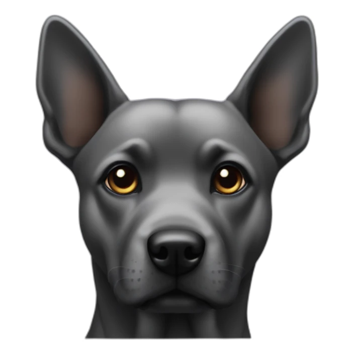 Un chien noir qui faisa patte avant sticker