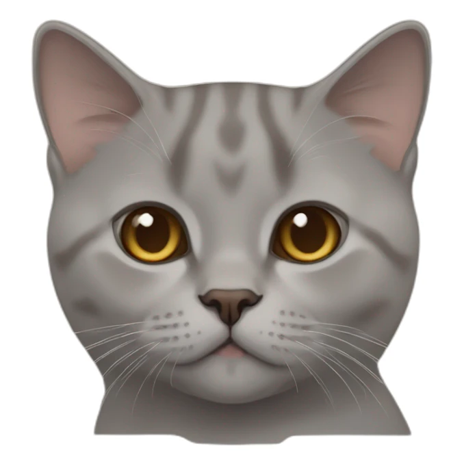 cinnamon color thin british shorthair sticker
