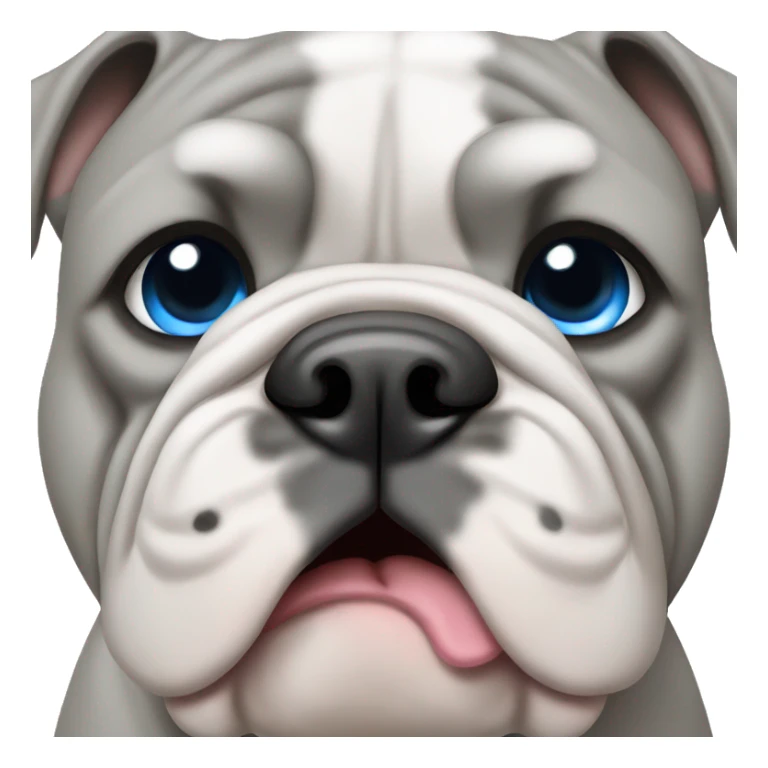 grey english bulldog with blue eyes sticker