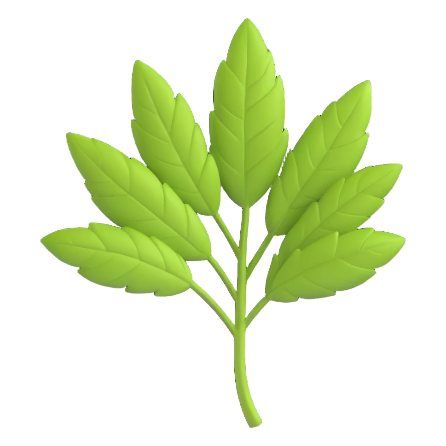 3D emoji style, herb leaf, three-dimensional and lively, no background sticker