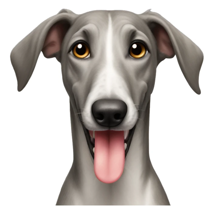 Italian grayhound with tongue out  sticker