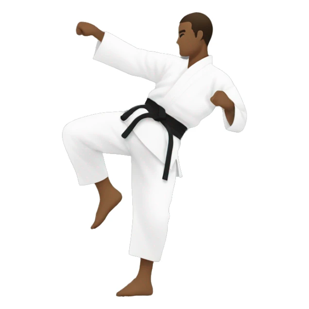 siluette of man doing karate sticker