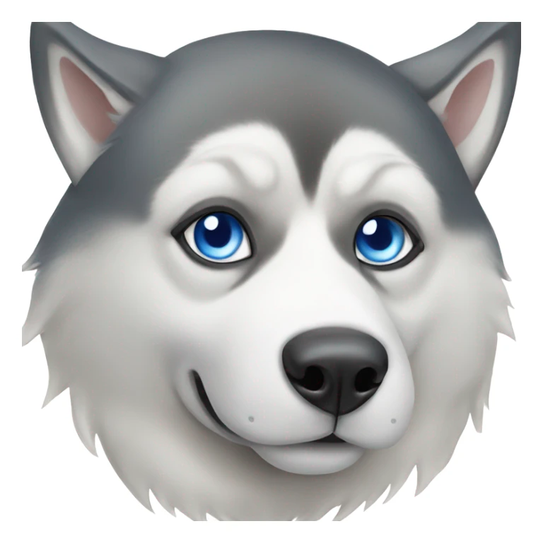 Blue eyed husky in Thailand  sticker