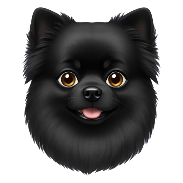 Black Pomeranian with black eyes sticker