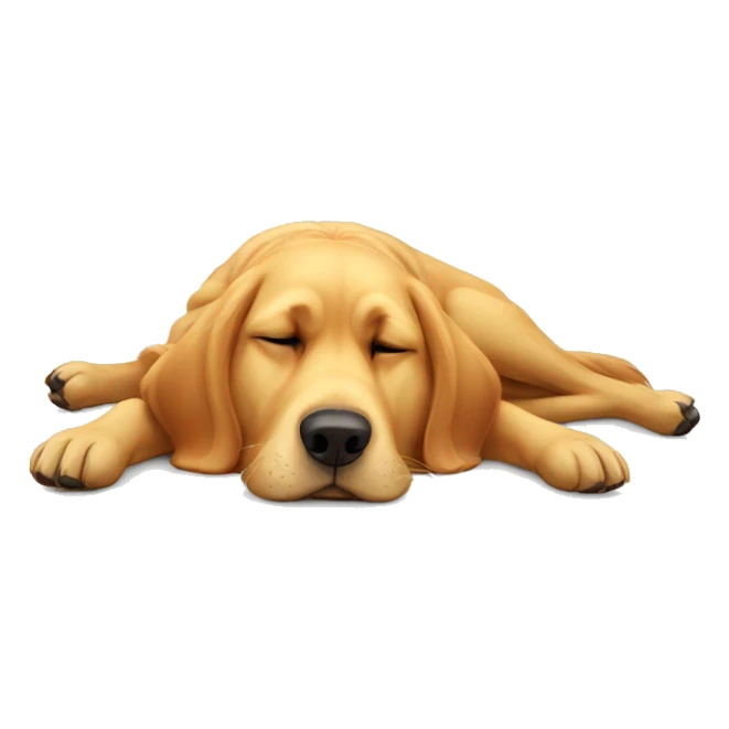 Golden large dog laying upside down on back  sticker