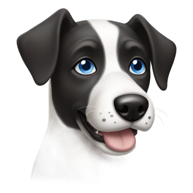 Black and white dog with one blue eye and one brown eye  sticker