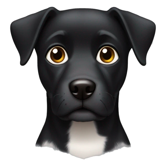  black dog, body black, black head, paw white and chest white, big brown eyes sticker