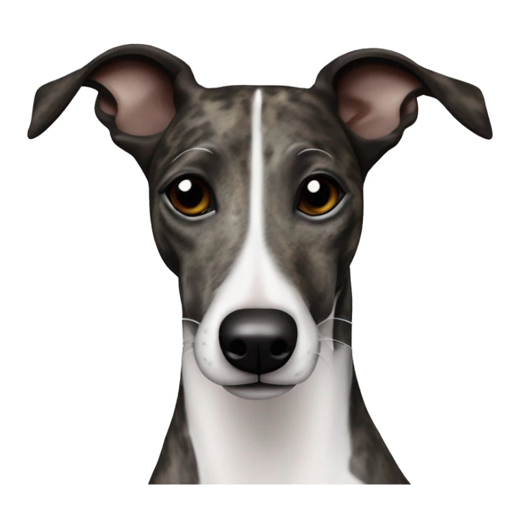 brindle black and white patches whippet sticker