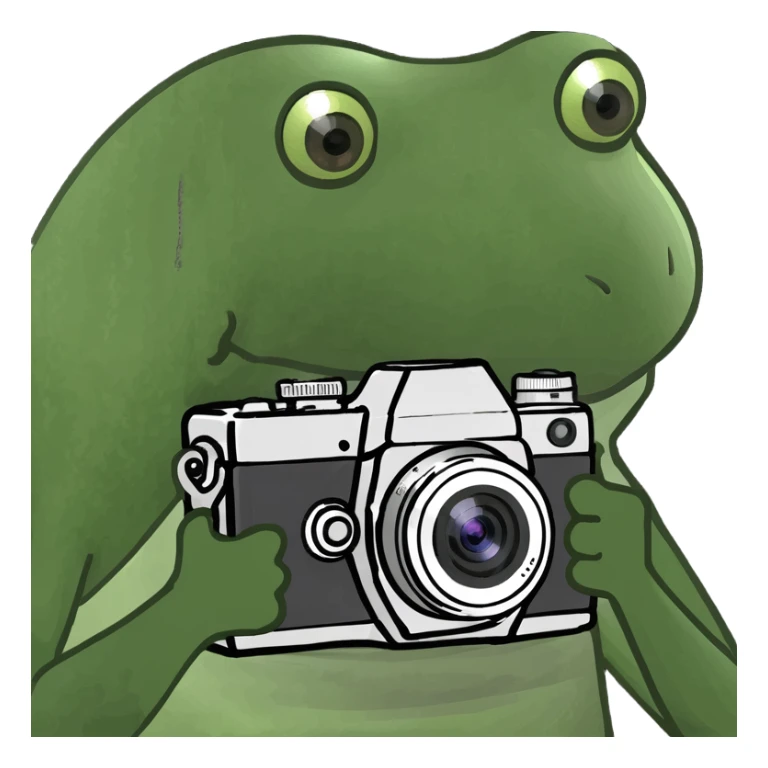 Place the bufo frog holding a camera on a sunny tropical beach, maintaining the green bufo frog meme style with concise details and vibrant colors typical of the bufo style. sticker