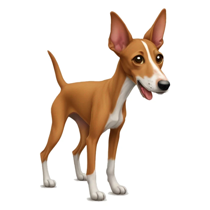 un podenco andaluz marrón sticker