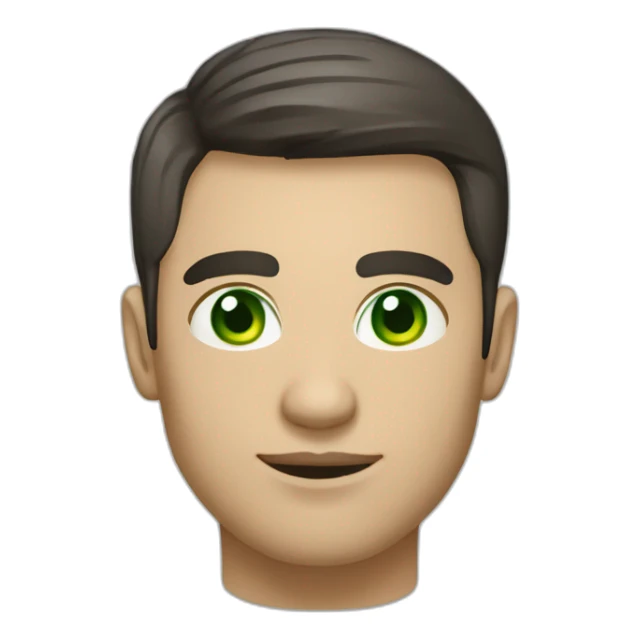 it project manager, 27 yo, man, dark short hair, green eyes sticker