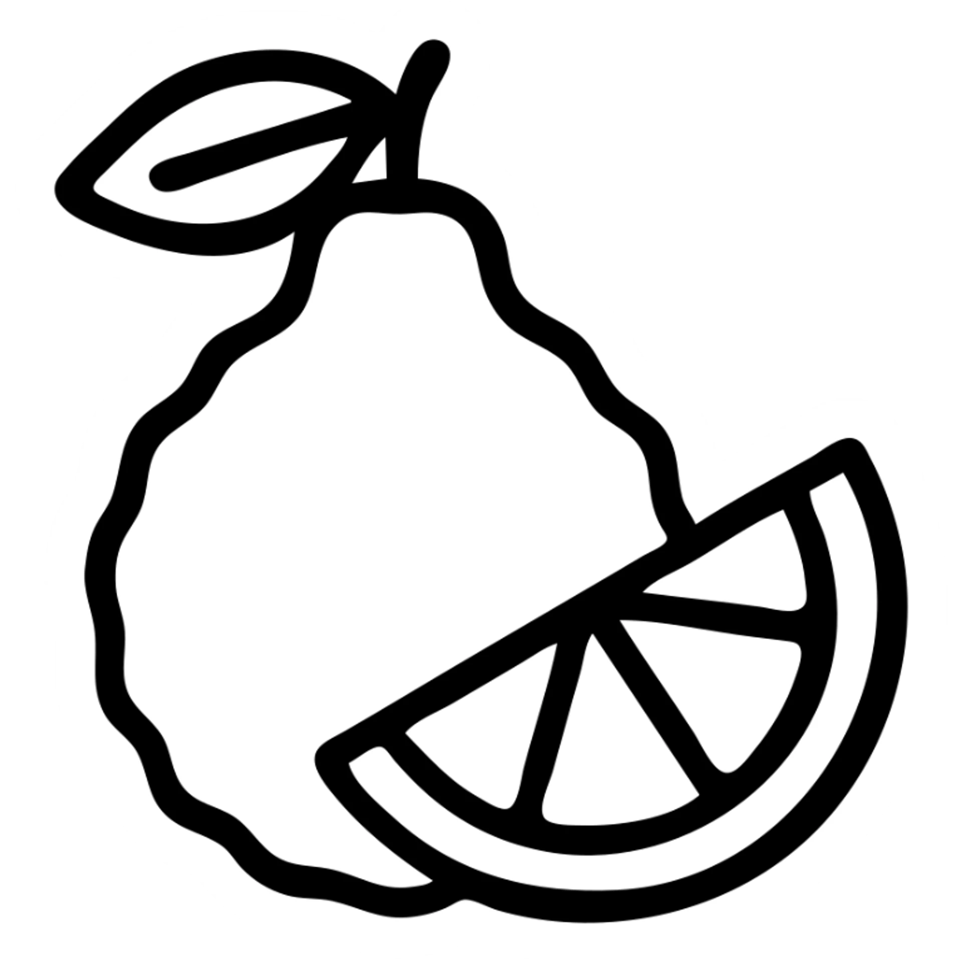 bergamot fruit, clean line illustration, simple and modern icon style sticker