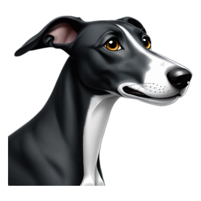 black greyhound with white spot on the chest sticker