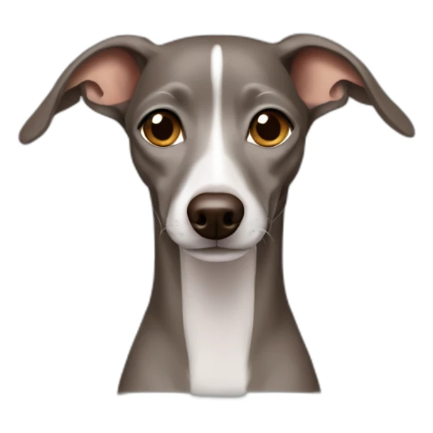 brown grey Italian greyhound emoji sticker
