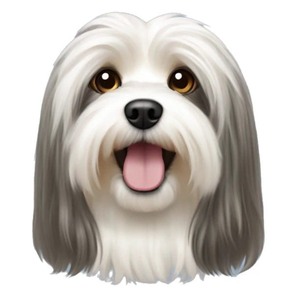 long hair havanese silk dog sticker