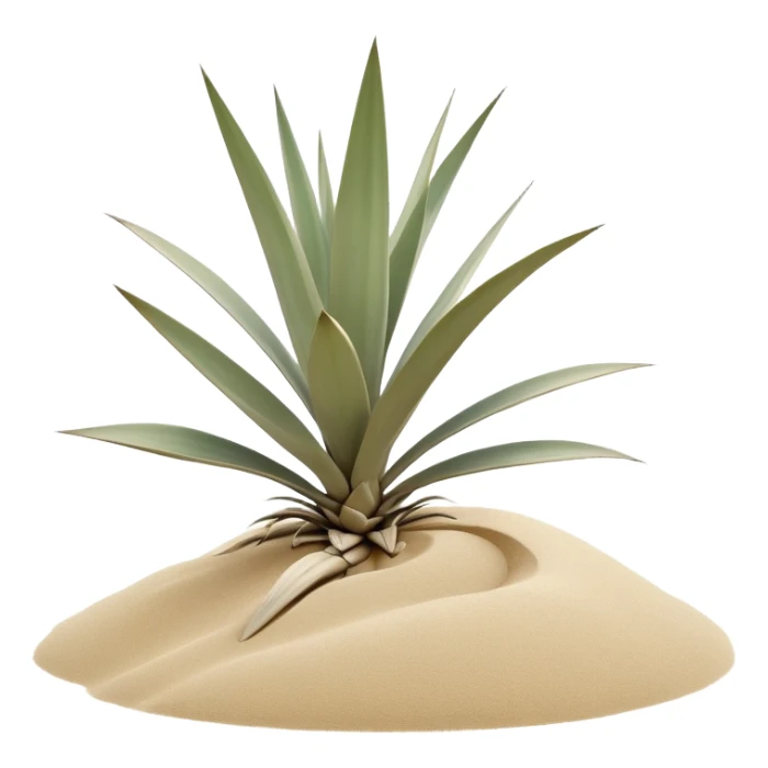 generate realistic detailed yucca in 3d style with sand  sticker