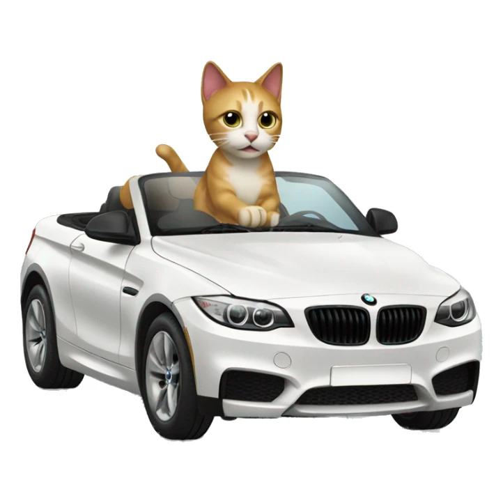 Cat driving  in a BMW-branded vehicle sticker