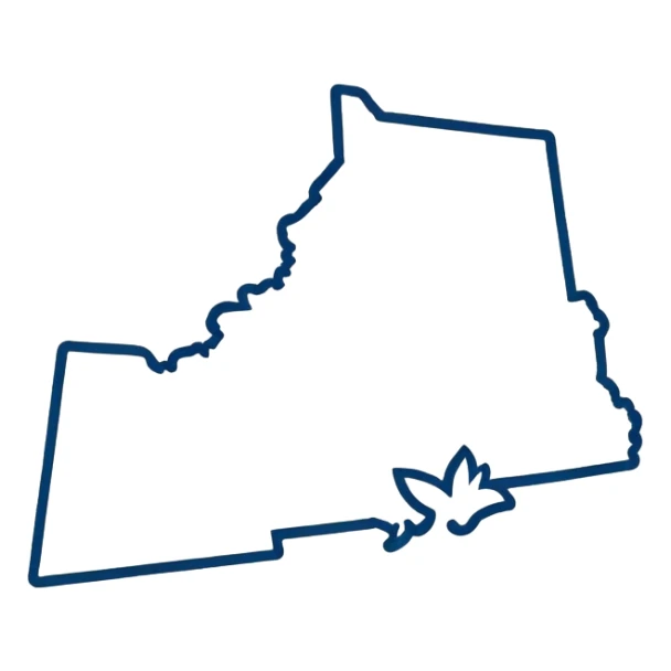 Outline of the state of New Hampshire sticker