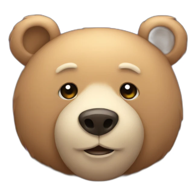 bear with a star sticker