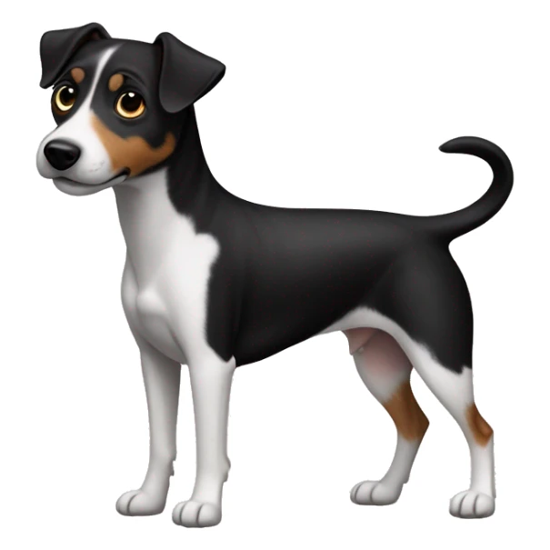 All Black dog Jack Russell Terrier full body sticker