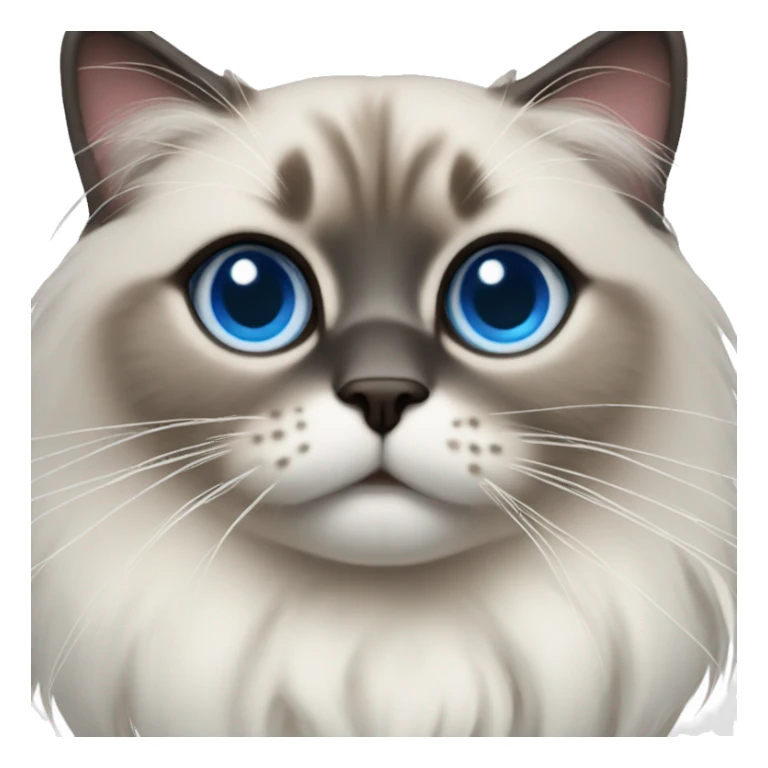 Ragdoll with blue eyes wearing a christmas sweater sticker