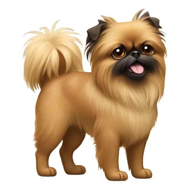 Happy Brussels Griffon mixed with Pomeranian sticker