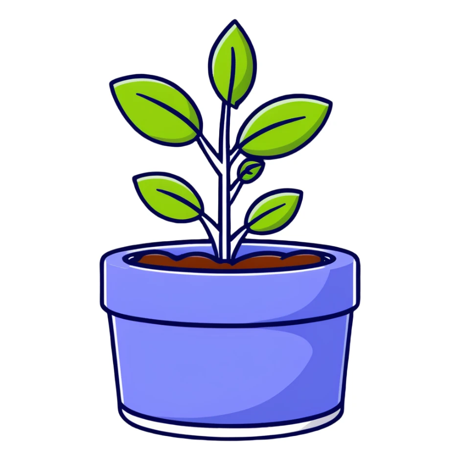 Young Plectranthus Verticillatus sprouts with circular coin-shaped leaves in a modern metallic planter sticker