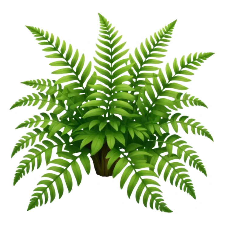 A cluster of soft green ferns growing under shaded trees.









































 sticker