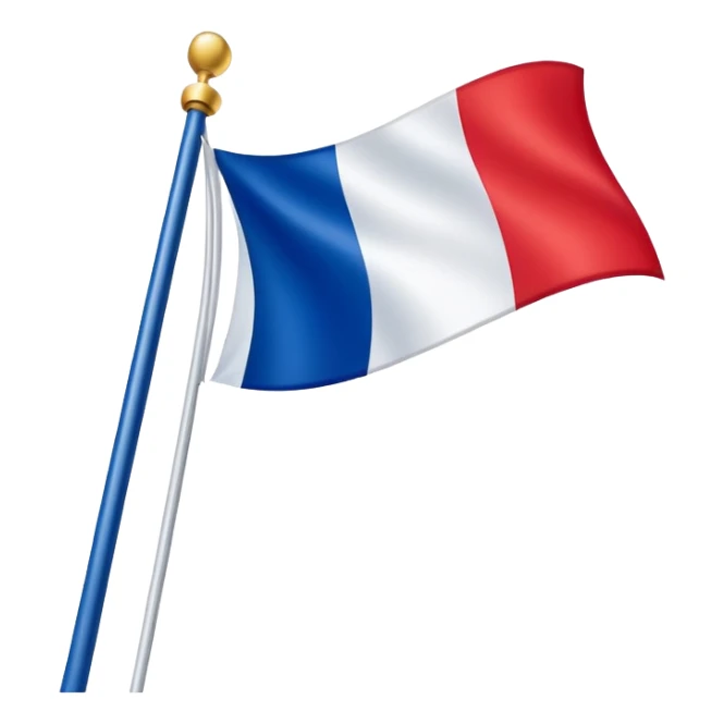 France flag with a star on the blue part sticker