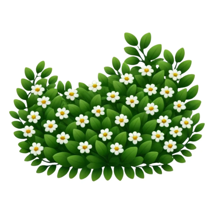 A dense bush with dark leaves and a curved organic shape with small white flower sticker