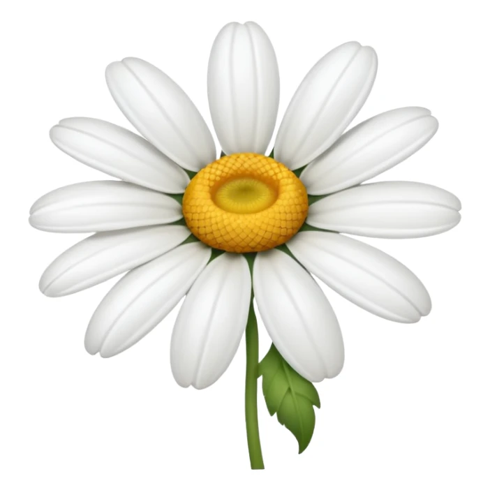 daisy blossom with white petals sticker