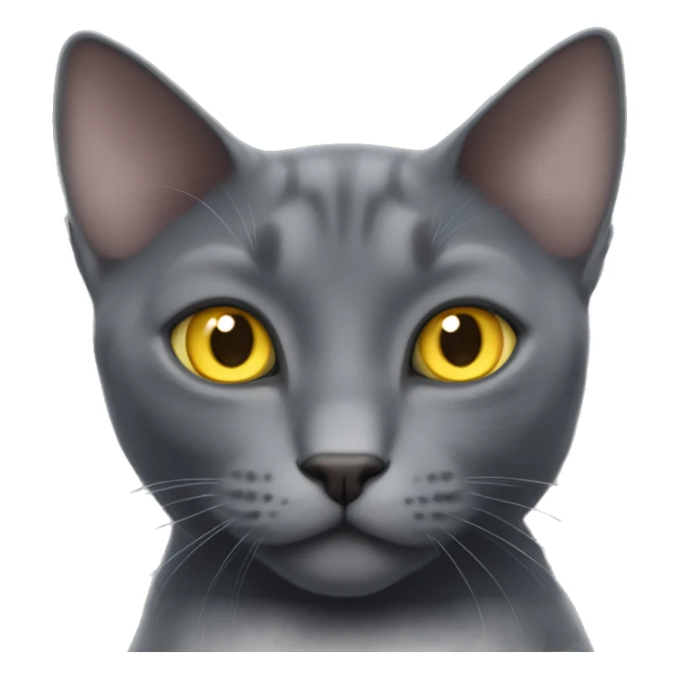 Gray russian blue cat with ears like bats have and sparkling yellow eyes sticker