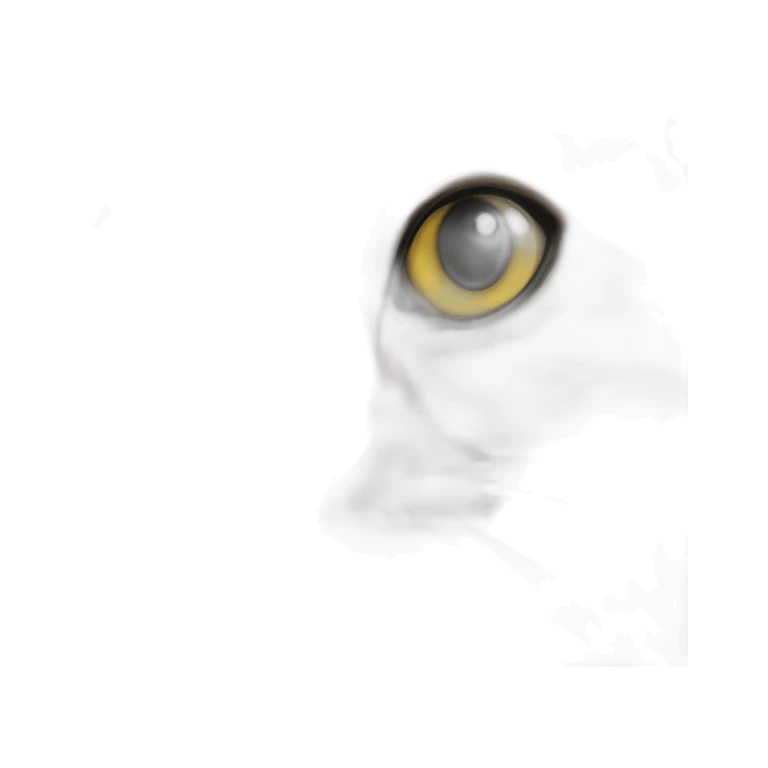 black-cat-with-white-breast-and-white-paws,-black-nose,-half-of-muzzle-white,-half-black,-yellow-eyes sticker