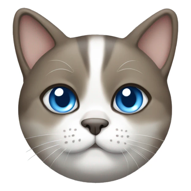 chubby blue-eyed brown grey white cat sticker