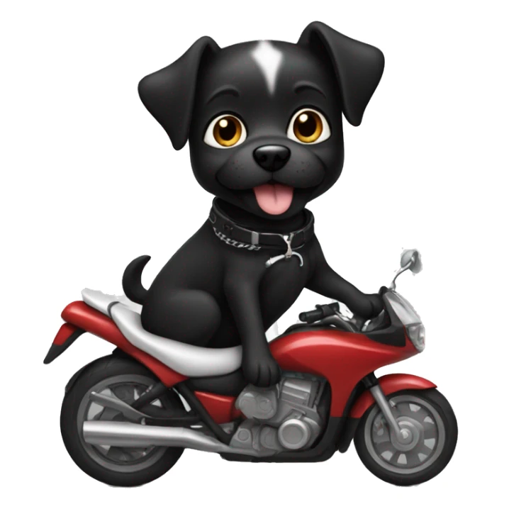 Black dog with white on her chest and toes riding a motorcycle  sticker