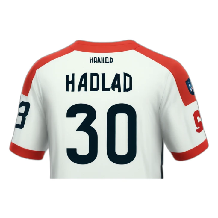 haaland jersey sticker
