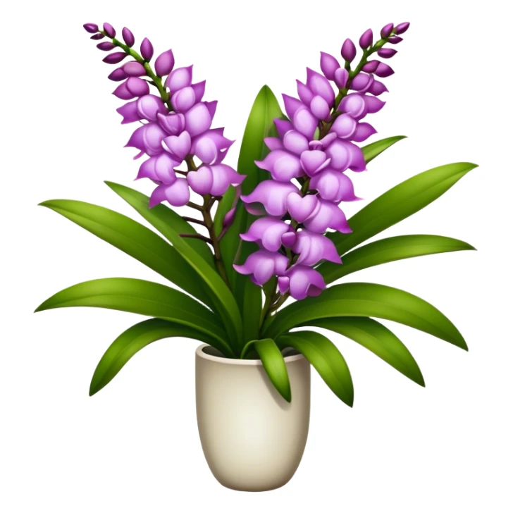 super big bouquet Rhynchostylis Orchid, stem, leaf sticker