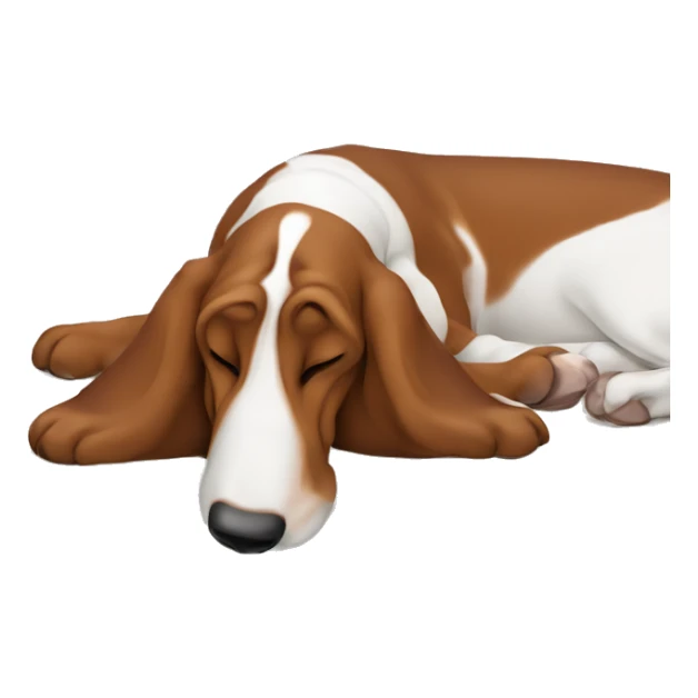 Basset hound sleeping on a mattress sticker