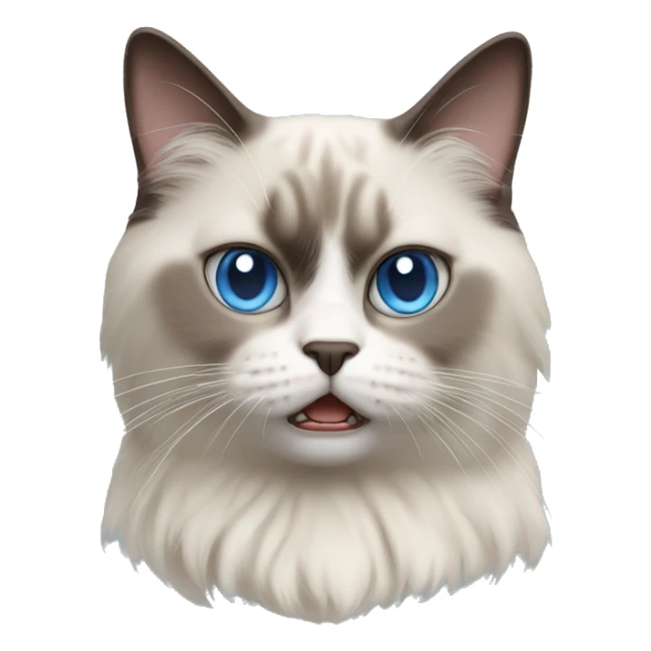 angry shorthaired blue eyed ragdoll cat sticker