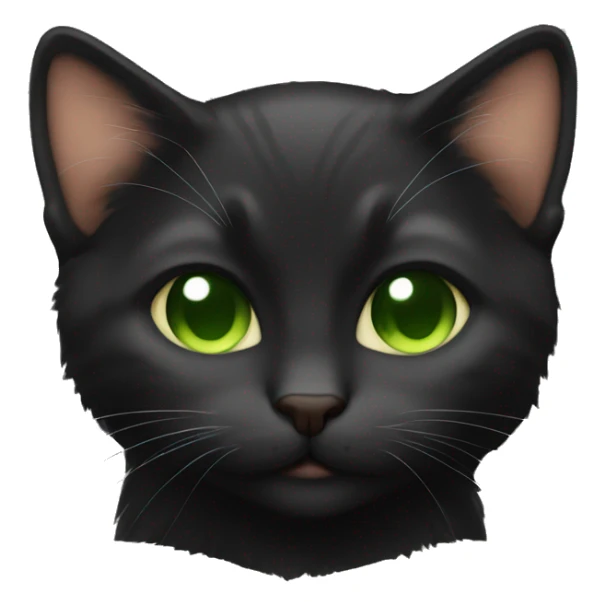 Black coat and brown green eyes kitten  sleeping  sticker