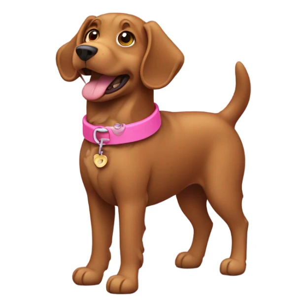 curly brown dog with pink collar sticker